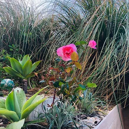 בית אירוח Mae Foz