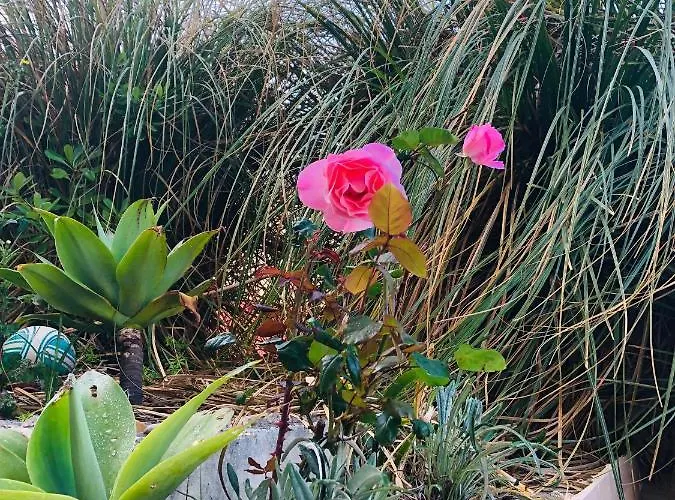 Quarto em Acomodações Particulares Mãe Foz